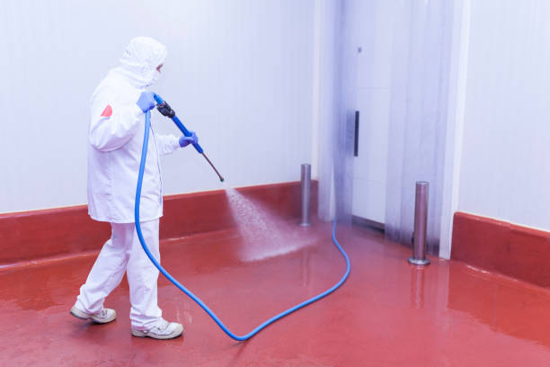 Best Gutter Cleaning  in Big Bear City, CA